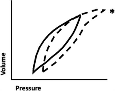 Respiratory support strategies in the prevention and treatment of bronchopulmonary dysplasia